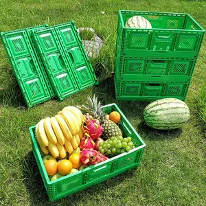 CAJA PLEGABLE reutilizable de plástico para frutas y verduras, cajas de envío personalizado de 600x400x180mm