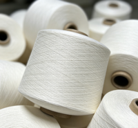 Sock Knitting Raw Material 21S Ti-White 100% Polyester Yarn High Tenacity for Sewing