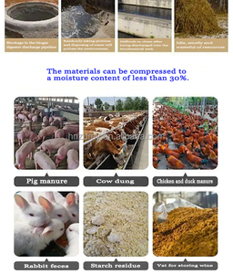 Separatore Solido-Liquido per Letame, Macchina per Disidratazione con Schermo Inclinato, per Allevamenti di Suini, Polli e Bovini - Product Image 6