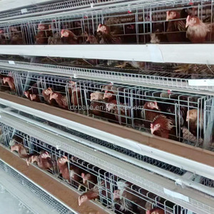 Nuova condizione BT marca 3-strati in acciaio zincato a strato di pollame gabbia controllo accurato della temperatura per pollo allevamento batteria - Product Image 3