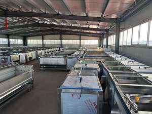 Máquina de lavado y pelado de rodillos de cepillo Industrial comercial de 500 kg/h - Product Image 6