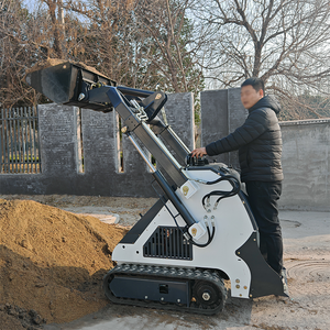 Minicargadora Compacta Personalizada, Maquinaria de Construcción Multifuncional, Transportador, Pala Eléctrica sobre Orugas - Product Image 5