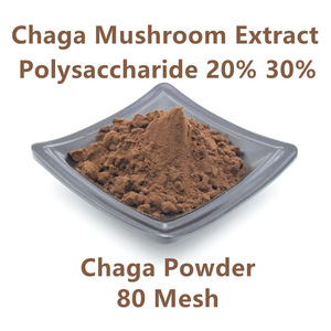 맞춤형 비건 친화적 수용성 차가 레이시 표고 버섯 사자의 갈기 버섯 추출물 분말 - Product Image 3