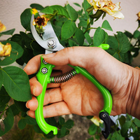VERTAK – ciseaux de taille pour plantes de jardin, tondeuse pour fleurs Orange et pommes, cisaille pour l'élagage des pousses