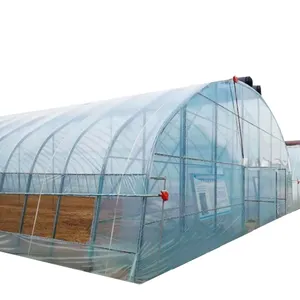 2024 year SUNSGH greenhouse Large Size High Tunnel Greenhouse Farm for Sale for vegetable growing