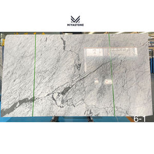 Panel de Pared de Mármol Blanco de Carrara, Superficie Pulida con Diseño Moderno para Aplicaciones en Hoteles, Piedra Natural - Product Image 1