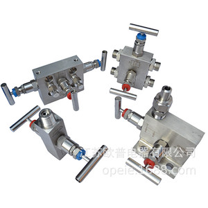 Grupo de Válvulas de Instrumentos de Acero Inoxidable Serie JFG, Válvula de Cierre Resistente a la Corrosión de Alta Presión - Product Image 5