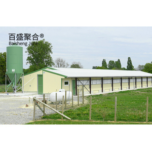Gallinero Prefabricado de Gran Capacidad a Bajo <span class=keywords><strong>Precio</strong></span>, Estructuras de Acero para Avicultura, Edificios Agrícolas - Product Image 2