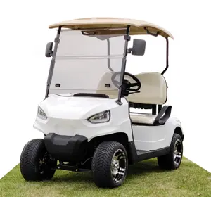 Più popolare ricarica rapida 2 posti Mini Golf Cart elettrico con batteria al litio