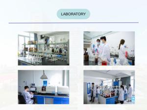 Huile d'aromathérapie de parfum de <span class=keywords><strong>sapin</strong></span> de Noël adaptée au diffuseur de bougie d'aromathérapie en vrac - Product Image 6