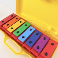 Rainbow 8 Tones Xylophone Musical Instrument Metal Handheld Xylophone for Kids