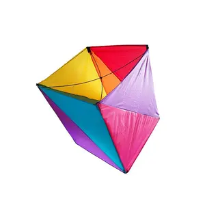 Chinese 3d Kite Custom Outdoor Leuke Sport Kite Cool Vliegers Voor Volwassenen