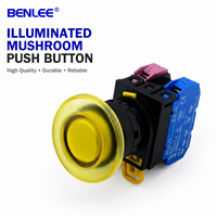Bouton poussoir lumineux BENLEE 22 mm, étanche IP65, 500 000 cycles, bouton de commande industriel