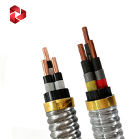 Cable ESP con Aislamiento de Goma de 5KV y Armadura de Cinta de Acero Galvanizado