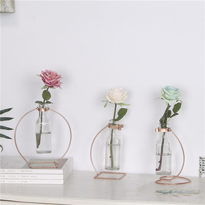 Florero de vidrio hidropónico con soporte de metal, transparente, colgante, tubo de vidrio - Product Image 2