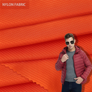 Tissu en taffetas de nylon transparent de Offre Spéciale échantillon gratuit tissu de doublure en nylon pour vestes en duvet tissu en taffetas de nylon - Product Image 1