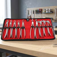 Lot de 10 pinces orthodontiques dentaires en acier inoxydable, forceps d'extraction, kit d'instruments manuels, certifié CE Classe I, pour chirurgie.