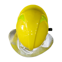 EN443 Premium A1 Casques de lutte contre l'incendie résistants au feu avec châle en feuille d'aluminium aramide et support de phare et glissière et double visière