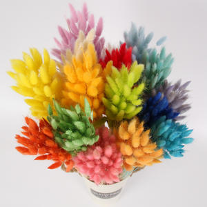 PPL30 Herbe de queue de lièvre, vente chaude, qualité A, fleurs séchées naturelles, queues de lapin, herbe séchée <span class=keywords><strong>Lagurus</strong></span> Ovatus pour la décoration - Product Image 4