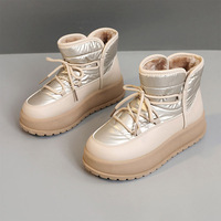 Bottes d'hiver colorées en gros directement de l'usine pour femmes, bottes d'hiver imperméables pour femmes, bottes de neige pour femmes, design de créateur