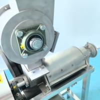 Industriële sapcentrifuge met grote capaciteit, motor en anti-verstopping crushstructuur voor de verwerking van hoogvezelrijke fruit- en groenteproducten