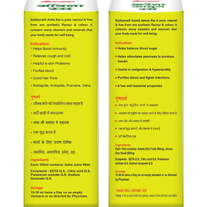 Jugo de Amla Baidyanath Karela Jamun Silvestre de Primera Calidad, Grado Alimenticio, Apoyo Natural para la Inmunidad, Proveedor Indio - Product Image 3