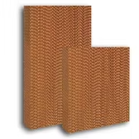 Nuevo Panel de Enfriamiento Evaporativo de Pared con Marco Galvanizado, Cortina Húmeda de Panal de Abeja de Alta Eficiencia para Control de Temperatura en Invernaderos Agrícolas