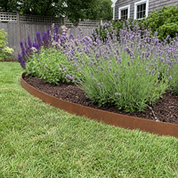 Bordure de jardin en acier galvanisé, bordure de pelouse pliable pour parterres de fleurs, cerceaux d'arbres et allées