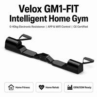 Gimnasio Portátil Inteligente para el Hogar, Dispositivo de Fuerza con 10 Funciones, Resistencia Motorizada, Correa de Plástico y Aleación de Aluminio para Acampar al Aire Libre