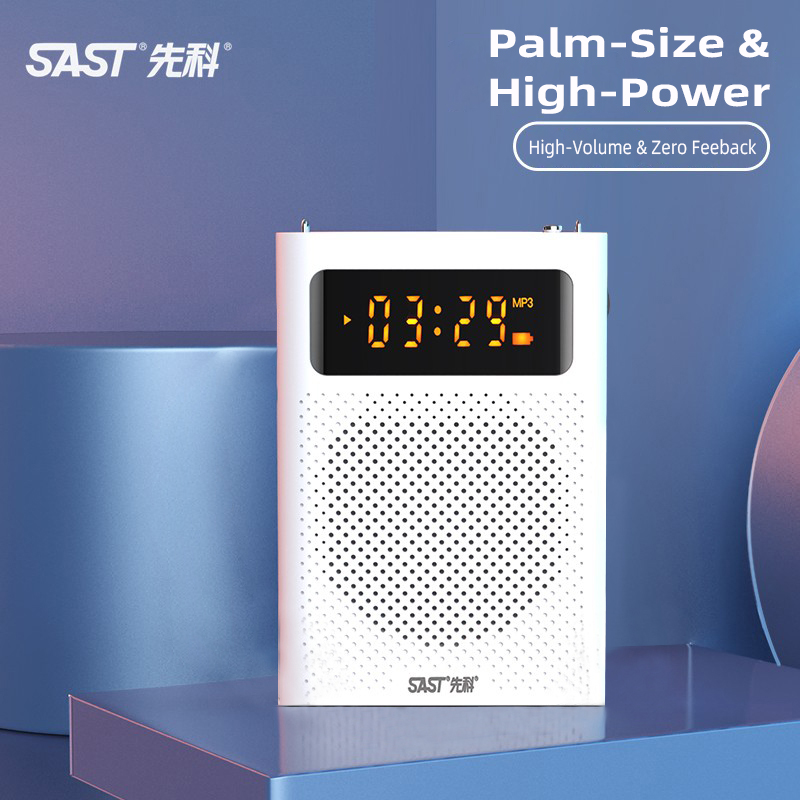 sast speaker amplifier