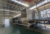 Professionele mesh-belt tunnelvriezer met roestvrijstalen strip blast chiller vriezer voor groenten, fruit en bessen