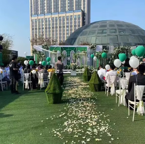 Chaise en plastique portable pour salle à manger en plein air <span class=keywords><strong>avec</strong></span> dossier pour hôtels, mariages, banquets, fêtes ou salon - Product Image 6