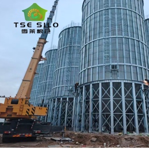 Silo de stockage de céréales (blé, paddy, graines de tournesol) pour projet clé en main - Product Image 6