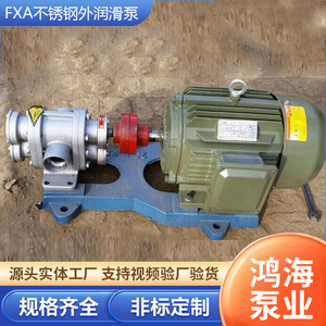 Pompe à lubrification externe en acier inoxydable Fxa, matériau 304, pompe à engrenages rotative à entraînement électrique pour le transport d'huile hydraulique - Product Image 2