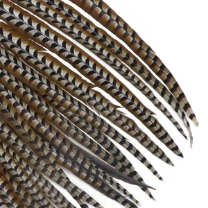 Plumes de carnaval brésilien authentique | Plumas faisan Ringneck pour <span class=keywords><strong>Samba</strong></span> - Product Image 2