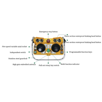 Suministro Directo de Fábrica, Control Remoto Inalámbrico Industrial Profesional DC12-24V F24-60 con Doble Joystick, Transmisor y Receptor