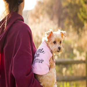 Simpatiche camicie per animali domestici con gatto cane XL miglior amico peloso calamita piccolo atteggiamento da Miss 'la cautela non può controllare il mio leccaglio lavoro poco - Product Image 5