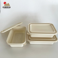 2024 vente en gros carré 500ml boîte jetable à emporter boîte pour chien amidon de maïs dégradable compartiment unique boîte de restauration rapide avec couvercle