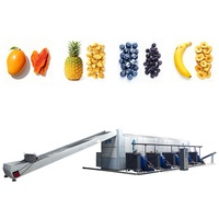 Ondersteuning voor maatwerk: machine voor het drogen van champignons, noedelsdroger met gaasband, machine voor het drogen van kardemom/tomaat/rode dadels, fruitdroogmachine