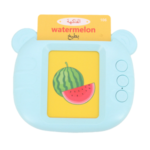 Cartes Flash Éducatives Parlantes pour Enfants, Machine d'Apprentissage Audio Interactive avec Batterie au Lithium Rechargeable, 224 Mots, en Plastique - Product Image 1