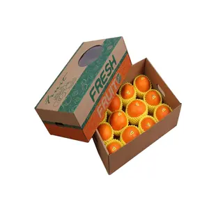 Obst karton Verpackungs box Papier karton für Mango