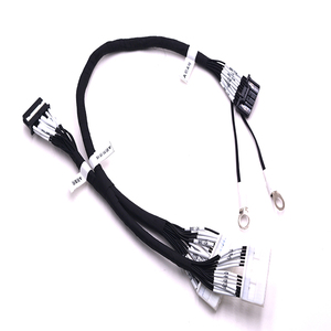 OEM oto elektronik kablo demeti özel Jst Molex terminali fiş 2-30pin PVC yalıtımlı kalay kaplı bakır kablo montaj 4 Pin - Product Image 2