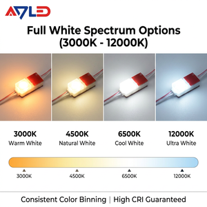 Super Bright 170Lm/W <b>LED</b> Module 12V SMD 2835 Waterproof IP67 <b>Mini</b> <b>LED</b> Modules with Lens for 3cm Depth Channel Letters - Product Image 5