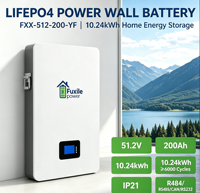 Batterie murale de stockage d'énergie solaire domestique 51.2V 200Ah 10.24kWh LiFePO4 Pack IP21 6000 cycles pour alimentation domestique hors réseau