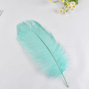 Grosir 35-40 cm panjang alami bulu burung unta besar untuk pesta pernikahan meja makan vas pusat dekorasi lampu rumah bulu - Product Image 2
