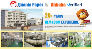 Pantalones Menstruales Desechables Personalizados, Toalla Sanitaria, Ropa Interior Menstrual Orgánica de Plátano para Mujer, Sexy, para el Periodo - Product Image 6