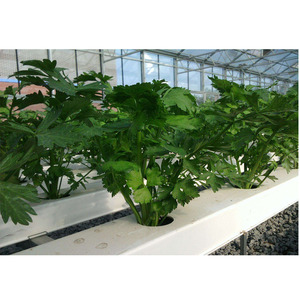 <span class=keywords><strong>Armario</strong></span> de <span class=keywords><strong>cultivo</strong></span> de tamaño personalizado, caja de <span class=keywords><strong>cultivo</strong></span> hidropónico de canales nft - Product Image 1