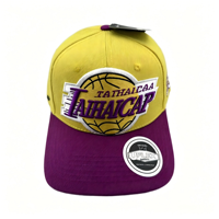 Topi Baseball Snapback 6 Panel Unisex Berkualitas Tinggi Bordir Puff Custom Terry Bows Formal Sporty Terstruktur Puff Printing