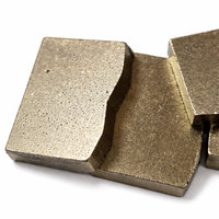 SS-S102 OEM Pièces d'outils électriques polies, segments diamantés en forme de B 24*19/20*3.3mm pour la découpe du granit, pour lame de scie à granit