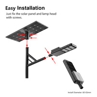 Lampe de rue Led solaire, Semi-intégré, 30W, 50W, 80W, éclairage de rue, tout en deux